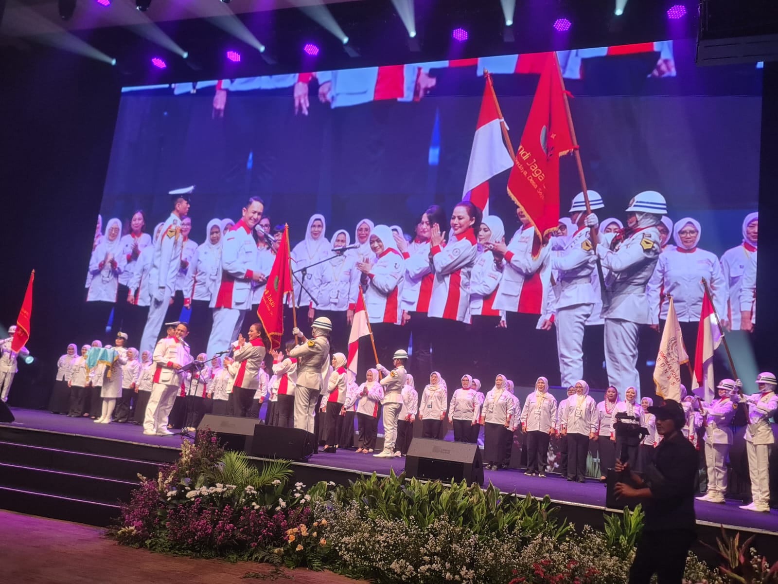 program (2)